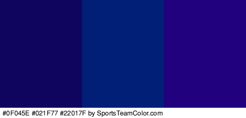 #0F045E #021F77 #22017F Colors