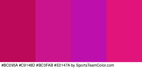 #BC095A #C9148D #BC0FAB #E0147A Colors