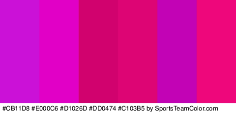 #CB11D8 #E000C6 #D1026D #DD0474 #C103B5 #ED077A Colors