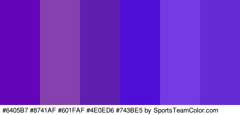 #6405B7 #8741AF #601FAF #4E0ED6 #743BE5 #652CD6 Colors