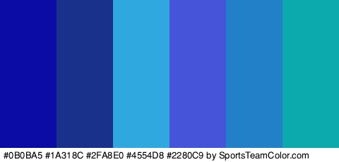 #0B0BA5 #1A318C #2FA8E0 #4554D8 #2280C9 #0DAAAD Colors