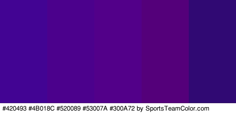 #420493 #4B018C #520089 #53007A #300A72 Colors