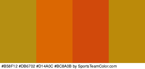 #B58F12 #DB6702 #D14A0C #BC8A0B Colors