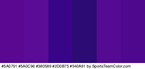 #5A0791 #5A0C96 #380589 #2D0B75 #540A91 #4D088E Colors