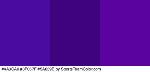 #4A0CA0 #3F037F #5A039E Colors