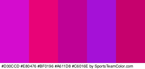 #D30CCD #E80476 #BF0196 #A611D8 #C6016E Colors