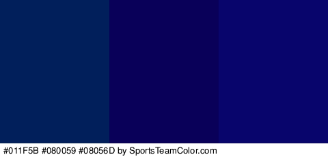 #011F5B #080059 #08056D Colors