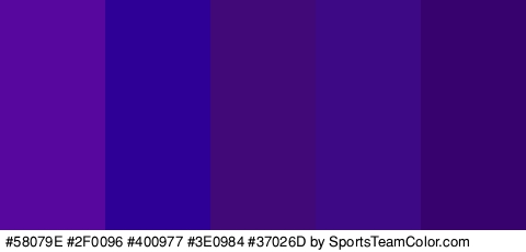 #58079E #2F0096 #400977 #3E0984 #37026D Colors