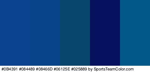 #0B4391 #084489 #08466D #06125E #025889 Colors