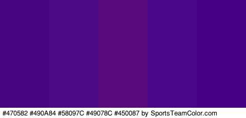 #470582 #490A84 #58097C #49078C #450087 Colors