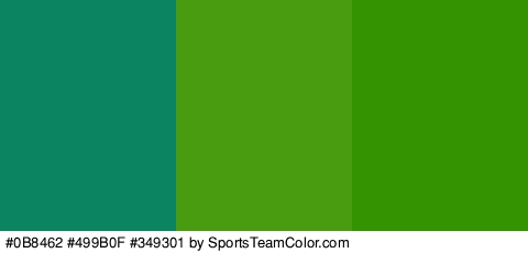 #0B8462 #499B0F #349301 Colors