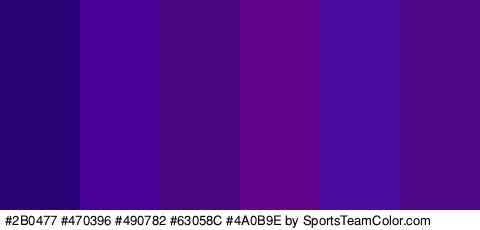 #2B0477 #470396 #490782 #63058C #4A0B9E #4E0587 Colors