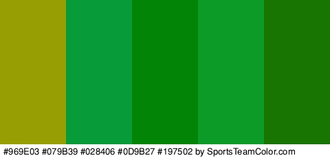 #969E03 #079B39 #028406 #0D9B27 #197502 Colors