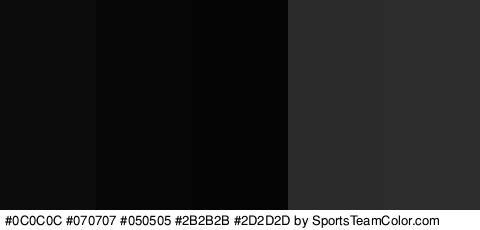 #0C0C0C #070707 #050505 #2B2B2B #2D2D2D Colors