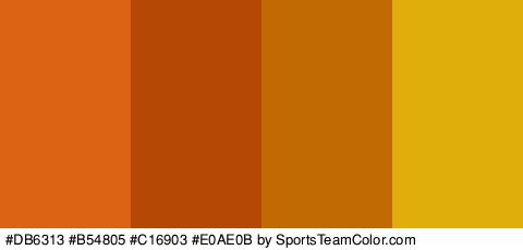 #DB6313 #B54805 #C16903 #E0AE0B Colors