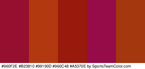 #960F2E #B23810 #99190D #960C48 #A5370E Colors