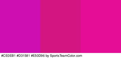 #CE0EB1 #D31581 #E50D96 Colors