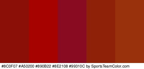 #8C0F07 #A50200 #890B22 #8E2108 #99310C Colors