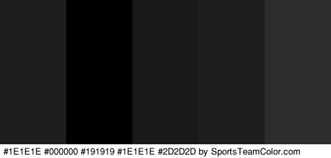 #1E1E1E #000000 #191919 #1E1E1E #2D2D2D Colors