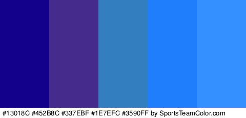 #13018C #452B8C #337EBF #1E7EFC #3590FF Colors