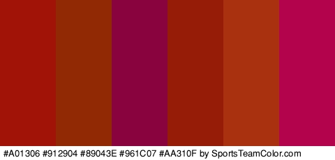 #A01306 #912904 #89043E #961C07 #AA310F #B2034C Colors