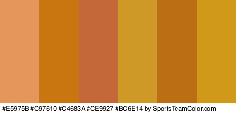 #E5975B #C97610 #C4683A #CE9927 #BC6E14 #D19919 Colors