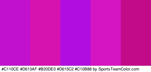 #C110CE #D613AF #B20DE0 #D615C2 #C10B88 Colors