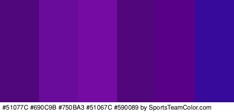 #51077C #690C9B #750BA3 #51067C #590089 #380A9B Colors