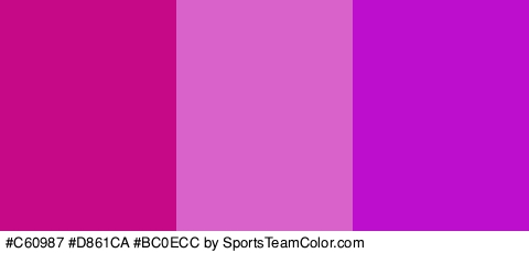 #C60987 #D861CA #BC0ECC Colors