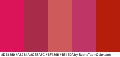 #DB1359 #A82B4A #CE5A5C #BF3565 #B51E0A Colors