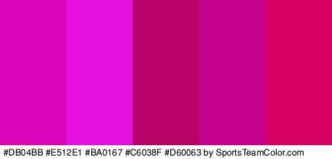 #DB04BB #E512E1 #BA0167 #C6038F #D60063 Colors