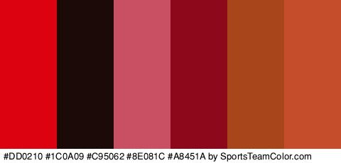 #DD0210 #1C0A09 #C95062 #8E081C #A8451A #C64D2B Colors