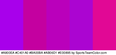 #A800EA #C401A0 #BA00BA #AB06D1 #E00895 Colors