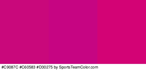 #C9087C #C60583 #D30275 Colors