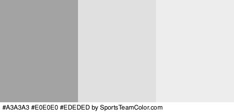 #A3A3A3 #E0E0E0 #EDEDED Colors