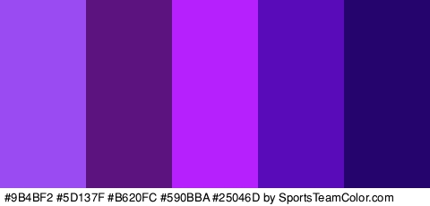 #9B4BF2 #5D137F #B620FC #590BBA #25046D Colors