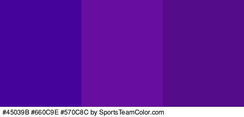 #45039B #660C9E #570C8C Colors