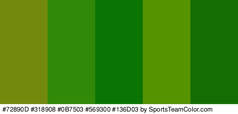 #72890D #318908 #0B7503 #569300 #136D03 Colors