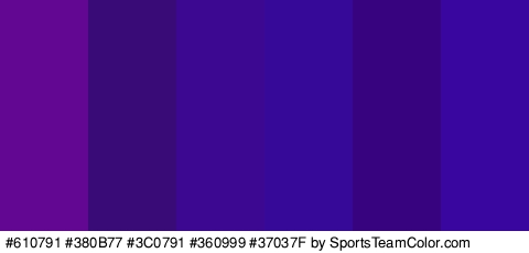 #610791 #380B77 #3C0791 #360999 #37037F #3906A0 Colors