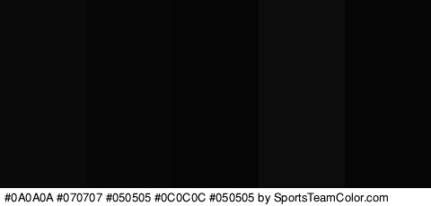 #0A0A0A #070707 #050505 #0C0C0C #050505 Colors