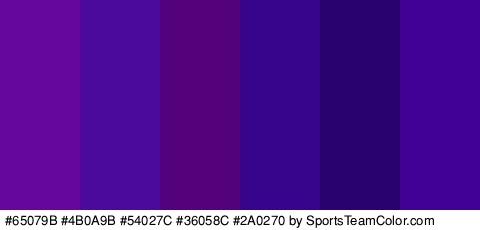 #65079B #4B0A9B #54027C #36058C #2A0270 #420196 Colors