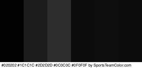 #020202 #1C1C1C #2D2D2D #0C0C0C #0F0F0F #0C0C0C Colors