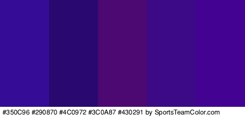 #350C96 #290870 #4C0972 #3C0A87 #430291 Colors