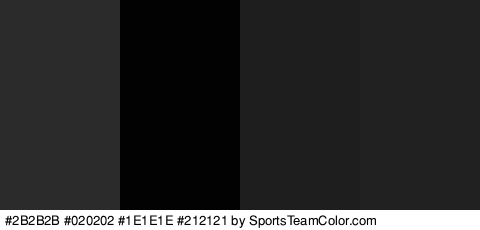 #2B2B2B #020202 #1E1E1E #212121 Colors