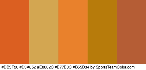 #DB5F20 #D3A652 #E8802C #B77B0C #B55D34 Colors