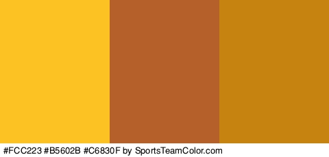 #FCC223 #B5602B #C6830F Colors