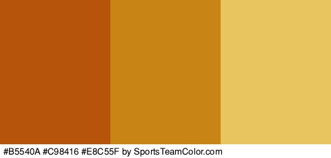 #B5540A #C98416 #E8C55F Colors