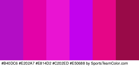 #B40DC6 #E202A7 #E814D2 #C202ED #E50688 #990A48 Colors