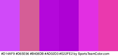 #D14AF9 #D65E96 #B408DB #AD02D3 #E22FE2 #EA38AF Colors