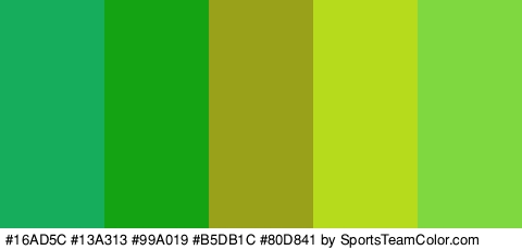 #16AD5C #13A313 #99A019 #B5DB1C #80D841 Colors